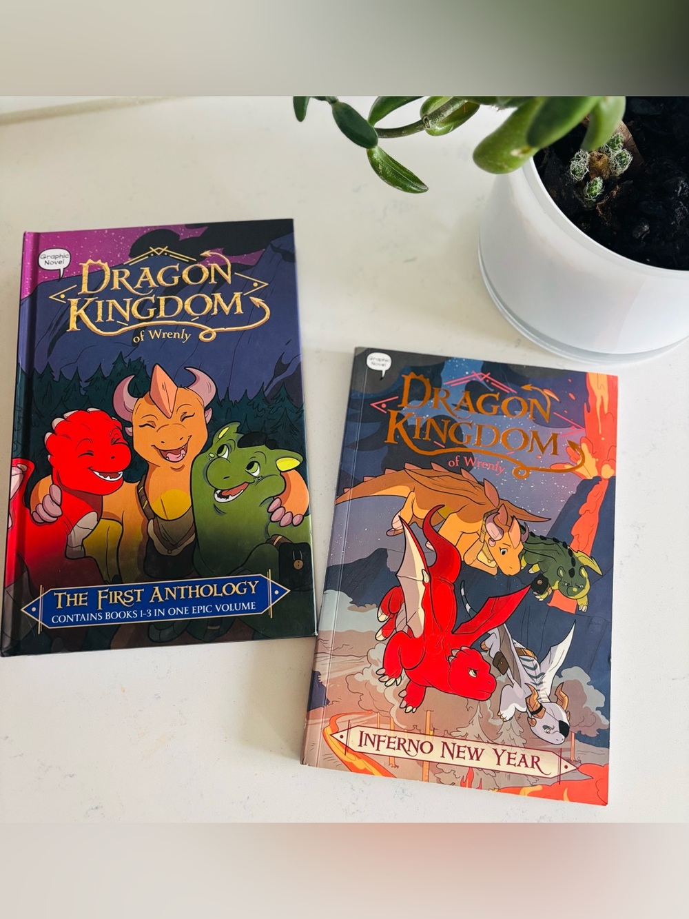 Dragon Kingdom Graphic Novel Books 📚